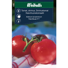 Tomat 'Harzfeuer F1'